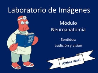 Laboratorio de Imágenes
Sentidos:
audición y visión
Módulo
Neuroanatomía
 