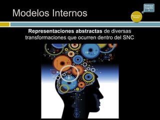 Modelos Internos
Representaciones abstractas de diversas
transformaciones que ocurren dentro del SNC
Movimiento
Humano
Enfoque
Cognitiv
o
 