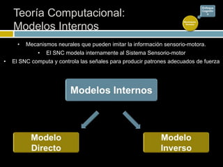 Teoría Computacional:
Modelos Internos
Movimiento
Humano
Enfoque
Cognitiv
o
• Mecanismos neurales que pueden imitar la información sensorio-motora.
• El SNC modela internamente al Sistema Sensorio-motor
• El SNC computa y controla las señales para producir patrones adecuados de fuerza
 