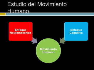 Estudio del Movimiento
Humano
 