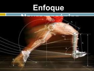 Enfoque
Neuromecánico
 