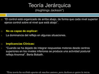 Teoría Jerárquica
(Hughlings Jackson*)
 “El control está organizado de arriba abajo, de forma que cada nivel superior
ejerce control sobre el nivel que está abajo”.
 No es capaz de explicar:
1. La dominancia del reflejo en algunas situaciones.
 Implicancias Clínicas:
1. “Cuando se ha dejado de integrar respuestas motoras desde centros
superiores en los niveles inferiores se produce una actividad postural
refleja Anormal”. Berta Bobath.
*Esta teoría ha recibido aportes de muchos autores, pero Jackson es quien la inicia.
 