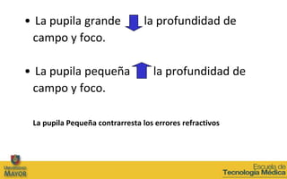 • La pupila grande               la profundidad de
  campo y foco.

• La pupila pequeña                la profundidad de
  campo y foco.

 La pupila Pequeña contrarresta los errores refractivos
 