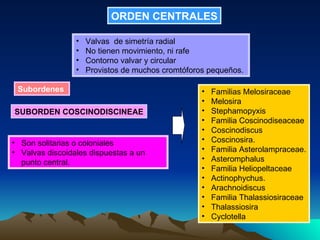ORDEN CENTRALES Valvas  de simetría radial No tienen movimiento, ni rafe Contorno valvar y circular Provistos de muchos cromtóforos pequeños.  Subordenes   SUBORDEN COSCINODISCINEAE Son solitarias o coloniales Valvas discoidales dispuestas a un punto central.  Familias Melosiraceae  Melosira Stephamopyxis Familia Coscinodiseaceae Coscinodiscus Coscinosira. Familia Asterolampraceae. Asteromphalus Familia Heliopeltaceae Actinophychus. Arachnoidiscus Familia Thalassiosiraceae Thalassiosira Cyclotella 