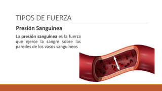 TIPOS DE FUERZA
Presión Sanguínea
La presión sanguínea es la fuerza
que ejerce la sangre sobre las
paredes de los vasos sanguíneos
 