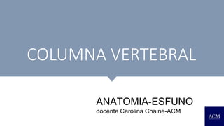 COLUMNA VERTEBRAL
ANATOMIA-ESFUNO
docente Carolina Chaine-ACM
 