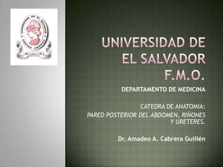 DEPARTAMENTO DE MEDICINA

                 CATEDRA DE ANATOMIA:
PARED POSTERIOR DEL ABDOMEN, RIÑONES
                          Y URETERES.

         Dr. Amadeo A. Cabrera Guillén
 