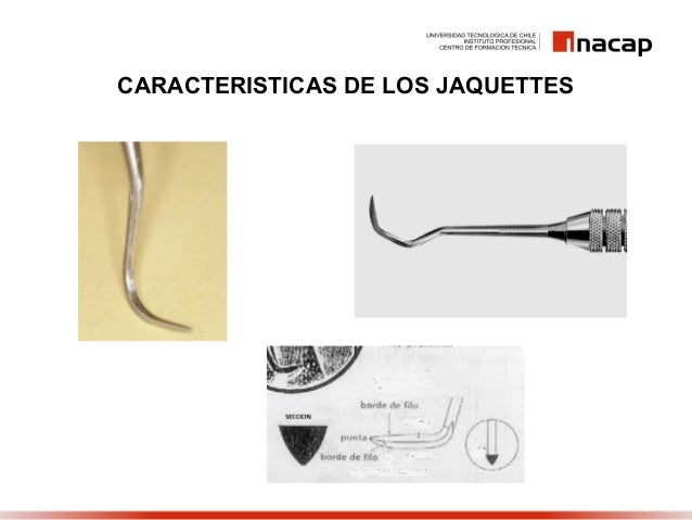 jaquettes rome fontanacountryinn com jaquettes