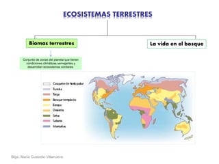 Blga. María Custodio Villanueva
La vida en el bosque
ECOSISTEMAS TERRESTRES
Biomas terrestres
Conjunto de zonas del planeta que tienen
condiciones climáticas semejantes y
desarrollan ecosistemas similares.
 