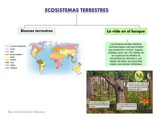 Blga. María Custodio Villanueva
La vida en el bosque
ECOSISTEMAS TERRESTRES
Biomas terrestres
Los bosques reciban distintos
nombres según cuál sea el árbol
que predomina: encinar, hayedo,
robledal, pinar, etc. Por debajo de
las copas de los árboles se
encuentran los arbustos y, por
debajo de éstos, las pequeñas
matas y las plantas herbáceas.
 