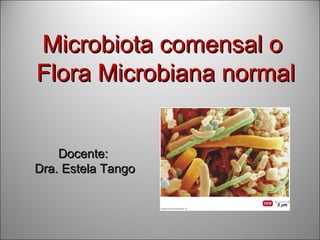 Microbiota comensal o
Flora Microbiana normal


    Docente:
Dra. Estela Tango
 
