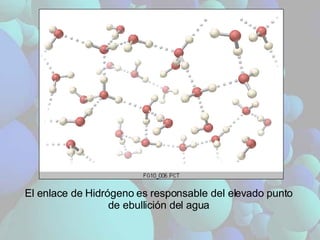El enlace de Hidrógeno es responsable del elevado punto de ebullición del agua 