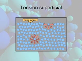 Tensión superficial 
