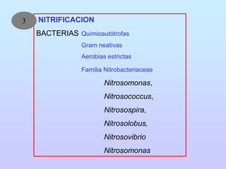 Clase 7 nitrogeno_suelo_2012 | PDF