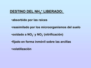 Clase 7 nitrogeno_suelo_2012