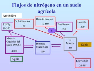 Clase 7 nitrogeno_suelo_2012