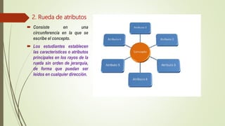 2. Rueda de atributos
 Consiste en una
circunferencia en la que se
escribe el concepto.
 Los estudiantes establecen
las características o atributos
principales en los rayos de la
rueda sin orden de jerarquía,
de forma que puedan ser
leídos en cualquier dirección.
 