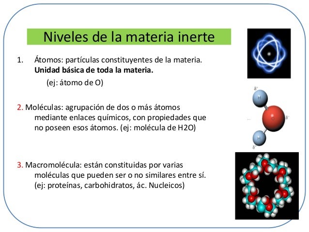 Niveles de Organización Celular