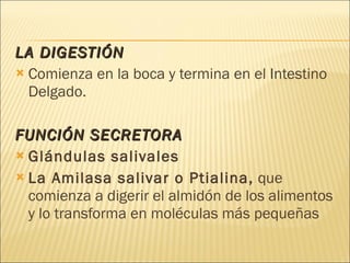 LA DIGESTIÓN Comienza en la boca y termina en el Intestino Delgado. FUNCIÓN SECRETORA Glándulas salivales   La Amilasa salivar o Ptialina,  que comienza a digerir el almidón de los alimentos y lo transforma en moléculas más pequeñas 