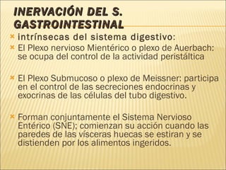 INERVACIÓN DEL S. GASTROINTESTINAL intrínsecas del sistema digestivo :  El Plexo nervioso Mientérico o plexo de Auerbach: se ocupa del control de la actividad peristáltica El Plexo Submucoso o plexo de Meissner: participa en el control de las secreciones endocrinas y exocrinas de las células del tubo digestivo.  Forman conjuntamente el Sistema Nervioso Entérico (SNE); comienzan su acción cuando las paredes de las vísceras huecas se estiran y se distienden por los alimentos ingeridos. 