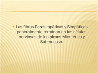 Las fibras Parasimpáticas y Simpáticas generalmente terminan en las células nerviosas de los plexos Mientérico y Submucoso. 