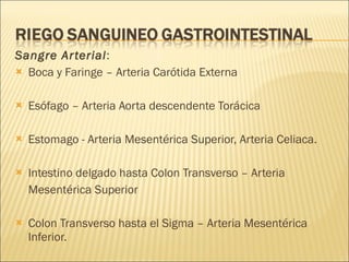Sangre Arterial : Boca y Faringe – Arteria Carótida Externa Esófago – Arteria Aorta descendente Torácica Estomago - Arteria Mesentérica Superior, Arteria Celiaca. Intestino delgado hasta Colon Transverso – Arteria  Mesentérica Superior Colon Transverso hasta el Sigma – Arteria Mesentérica Inferior. Recto y Ano – Arterias Pélvicas (Arteria Iliaca Interna) 