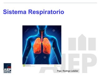 Sistema Respiratorio
Flgo: Rodrigo Letelier
 