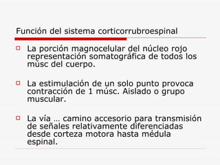 Función del sistema corticorrubroespinal

   La porción magnocelular del núcleo rojo
    representación somatográfica de todos los
    músc del cuerpo.

   La estimulación de un solo punto provoca
    contracción de 1 músc. Aislado o grupo
    muscular.

   La vía … camino accesorio para transmisión
    de señales relativamente diferenciadas
    desde corteza motora hasta médula
    espinal.
 