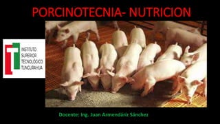 Docente: Ing. Juan Armendáriz Sánchez
PORCINOTECNIA- NUTRICION
 
