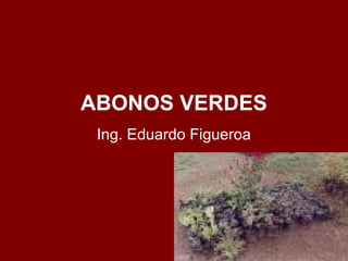 ABONOS VERDES
Ing. Eduardo Figueroa
 