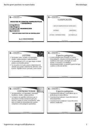 Bacilos gram positivos no esporulados Microbiología
Sugerencias: omuguruza91@yahoo.es 1
FACULTAD DE CIENCIAS FARMACÉUTICAS
Y BIOQUÍMICA
MICROBIOLOGÍA
BACILOS GRAM POSITIVOS NO ESPORULADOS
Mg. Q.F. OSCAR MUGURUZA
CLASIFICACIÓN
LISTERIA LACTOBACILLUS
AEROBIOS ANAEROBIOS
BACILOS GRAMPOSITIVOS NO ESPORULADOS
CORYNEBACTERIUM
Prof. Oscar Muguruza
LISTERIA
• Son bacilos cortos, aerobios, no esporulados,
móviles, catalasa positivos, oxidasa positivos.
• Se desarrolla bien a 4ºC y en agar sangre en donde
produce una hemólisis parcial.
• Se encuentra en el suelo, pastos y deposiciones de
animales que pueden contaminar los alimentos como
la leche, vegetales frescos, pescado y carne vacuno.
Prof. Oscar Muguruza
Especies patógenas
• La única patógena para el hombre es Listeria
monocytogenes, causante de la listeriosis, que se
manifiesta como sepsis y meningitis en recién
nacidos, en ancianos y en individuos
inmunocomprometidos, en gestantes puede dar lugar
a aborto o a infección del feto.
Prof. Oscar Muguruza
CORYNEBACTERIUM
• Son pleomórficos, no esporulados, anaerobios
facultativos, móviles, catalasa positivos.
• La mayoría son saprófitos inofensivos que se
encuentran en la flora normal de la piel y las
mucosas, aunque en ciertas circunstancias, sobre
todo en estados de inmunodepresión, pueden
comportarse como patógenos oportunistas.
Prof. Oscar Muguruza
Especies patógenas
• Corynebacterium difteriae: Causa difteria que es
producida por la toxina diftérica.
• Corynebacterium jeikeium: Causa infecciones en
inmunodeprimidos.
• Corynebacterium urealyticum: Causa infecciones
urinarias complicadas.
Prof. Oscar Muguruza
 