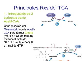 Principales Rxs del TCA
1. Introducción de 2
carbonos como
Acetil-CoA:
Condensación del
Oxalacetato con la Acetil-
CoA para formar Citrato
(mol de 6 C), se forman
también 3 mols de
NADH, 1 mol de FADH2
y 1 mol de GTP
 