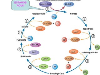 ESTAMOS
 AQUI!!

          Fig. 9.7
 