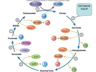 ESTAMOS
Fig. 9.7    AQUI!!
 