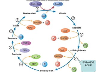 Fig. 9.7




           ESTAMOS
            AQUI!!
 