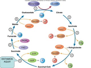 Fig. 9.7




ESTAMOS
 AQUI!!
 