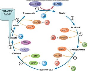 ESTAMOS   Fig. 9.7
 AQUI!!
 