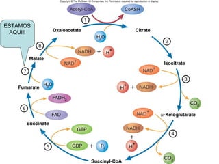 ESTAMOS   Fig. 9.7
 AQUI!!
 
