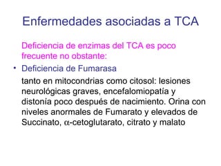 Enfermedades asociadas a TCA
  Deficiencia de enzimas del TCA es poco
  frecuente no obstante:
• Deficiencia de Fumarasa
  tanto en mitocondrias como citosol: lesiones
  neurológicas graves, encefalomiopatía y
  distonía poco después de nacimiento. Orina con
  niveles anormales de Fumarato y elevados de
  Succinato, α-cetoglutarato, citrato y malato
 