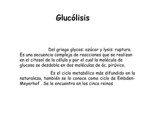 Glucólisis


               Del griego glycos: azúcar y lysis: ruptura.
Es una secuencia compleja de reacciones que se realizan
en el citosol de la célula y por el cual la molécula de
glucosa se desdobla en dos moléculas de ác. pirúvico.
               Es el ciclo metabólico más difundido en la
naturaleza, también se lo conoce como ciclo de Embden-
Meyerhof . Se le encuentra en los cinco reinos
 