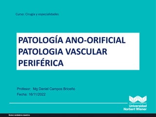PATOLOGÍA ANO-ORIFICIAL
PATOLOGIA VASCULAR
PERIFÉRICA
Curso: Cirugía y especialidades
Profesor: Mg Daniel Campos Briceño
Fecha: 16/11/2022
 