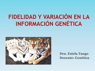 FIDELIDAD Y VARIACIÓN EN LA
INFORMACIÓN GENÉTICA
Dra. Estela Tango
Docente: Genética
 