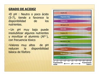 GRADO DE ACIDEZ
•El pH : Neutro o poco ácido
(5-7), tiende a favorece la
disponibilidad    de     los
nutrientes.
• Un pH muy bajo puede
insolubilizar algunos nutrientes
y movilizar el aluminio (Al3+),
con frecuencia tóxico
•Valores muy altos      de pH
reducen     la    disponibilidad
básica de fósforo
 