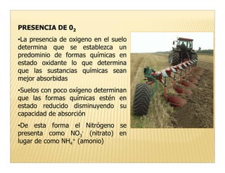 PRESENCIA DE 02
•La presencia de oxigeno en el suelo
determina que se establezca un
predominio de formas químicas en
estado oxidante lo que determina
que las sustancias químicas sean
mejor absorbidas
•Suelos con poco oxígeno determinan
que las formas químicas estén en
estado reducido disminuyendo su
capacidad de absorción
•De esta forma el Nitrógeno se
presenta como NO3- (nitrato) en
lugar de como NH4+ (amonio)
 