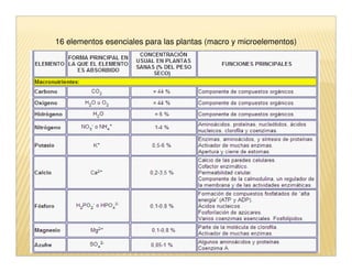 16 elementos esenciales para las plantas (macro y microelementos)
 