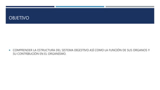 OBJETIVO
 COMPRENDER LA ESTRUCTURA DEL SISTEMA DIGESTIVO ASÍ COMO LA FUNCIÓN DE SUS ORGANOS Y
SU CONTRIBUCIÓN EN EL ORGANISMO.
 