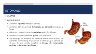 ESTÓMAGO
 QUIMO
 Vaciamiento
 Alimentos líquidos: menos de 2 horas.
 Alimentos con predominio de hidratos de carbono: menos de 2
horas.
 Alimentos con predominio de proteínas: entre 2 y 4 horas.
 Alimento con predominio de grasas: más de 4 horas.
 Sin embargo, los alimentos no tienen la misma acción cuando los
nutrientes se mezclan y llegan juntos al estómago, por ejemplo, en
el caso de una comida completa, el tiempo de vaciamiento
gástrico es de entre 4 a 6 horas.
 