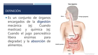 DEFINICIÓN
 Es un conjunto de órganos
encargados de la digestión
mecánica (ej: Cuando
masticas) y química (ej:
Cuando el jugo pancreático
libera enzimas para
degradar) y la absorción de
alimentos.
 
