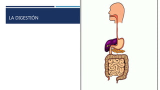 LA DIGESTIÓN
 