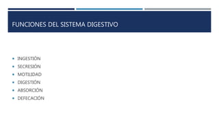 FUNCIONES DEL SISTEMA DIGESTIVO
 INGESTIÓN
 SECRESIÓN
 MOTILIDAD
 DIGESTIÓN
 ABSORCIÓN
 DEFECACIÓN
 